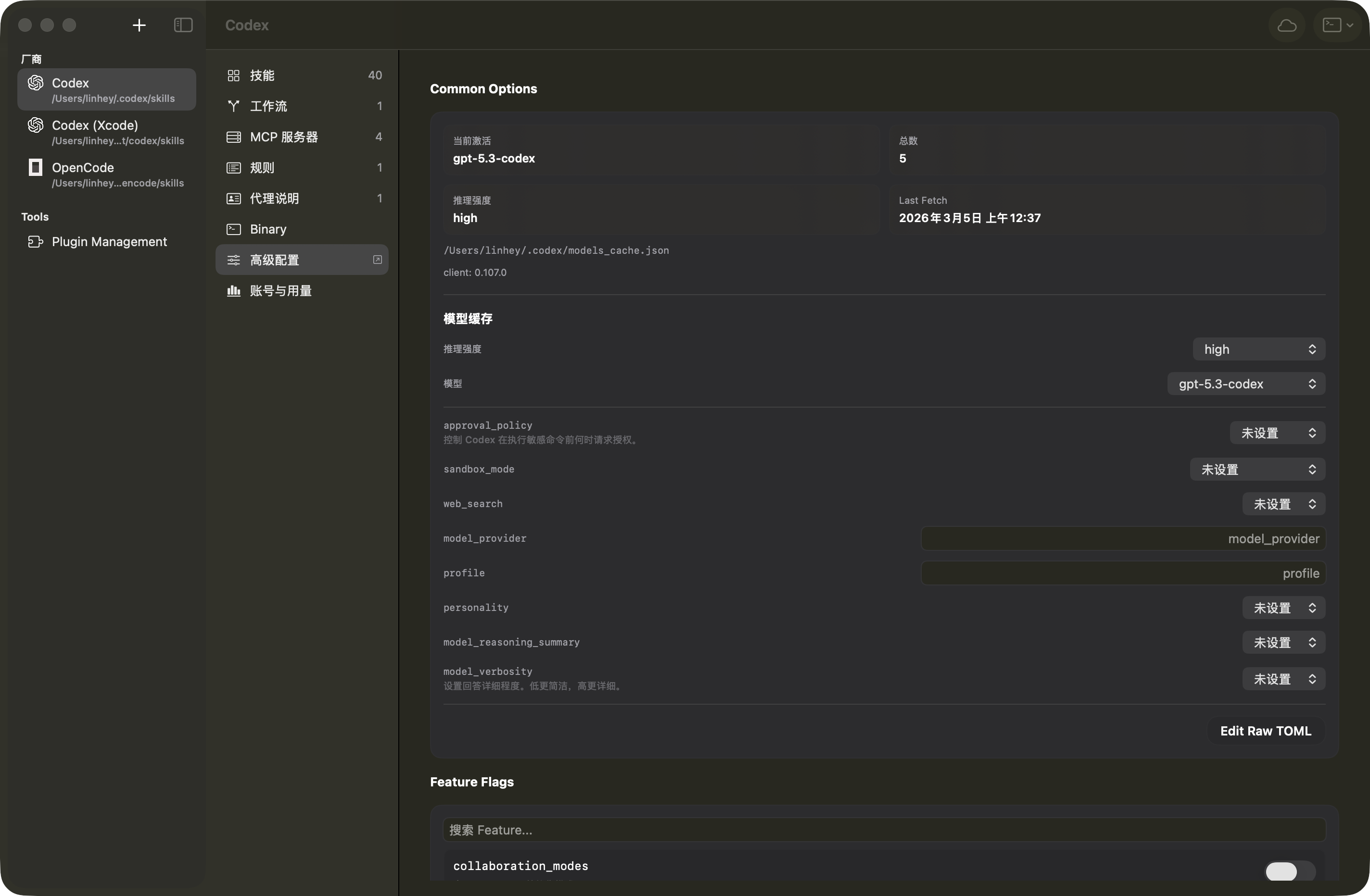 Provider 高级配置面板截图